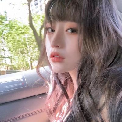 宫廷情缘破解版下载